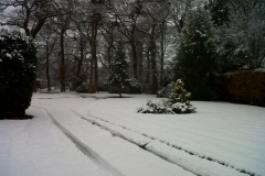 IMG00316-20130121-1227