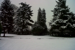 IMG00317-20130121-1228